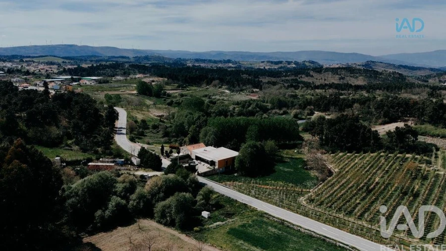 Moradia para Venda em Sever Foto 4