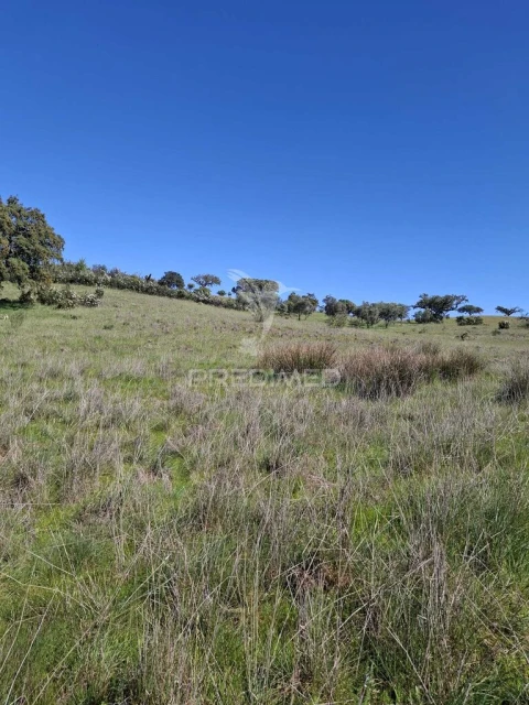 Terreno para Venda em Capelins (Santo Antonio)