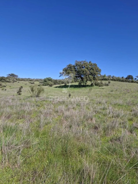 Terreno para Venda em Capelins (Santo Antonio)
