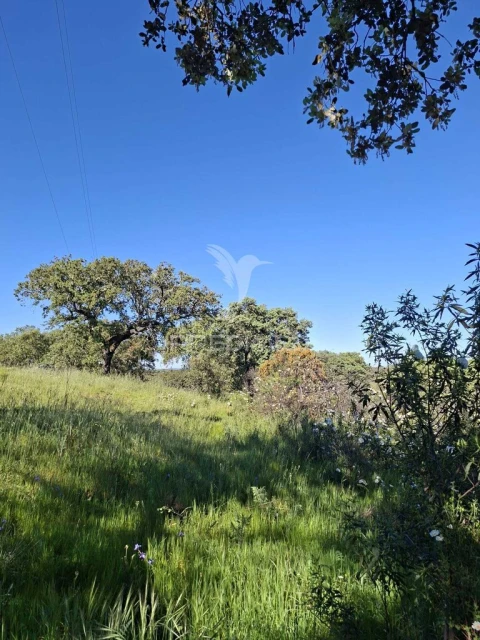 Terreno para Venda em Capelins (Santo Antonio)
