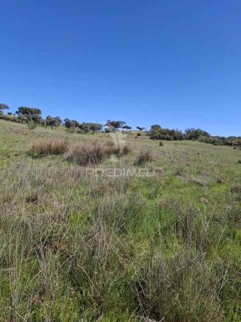 Terreno para Venda em Capelins (Santo Antonio)