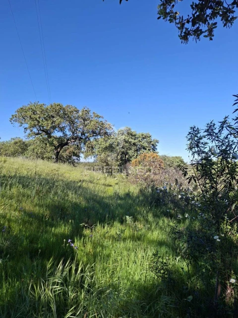 Terreno para Venda em Capelins (Santo Antonio)
