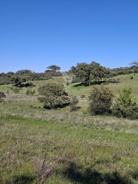 Terreno para Venda em Capelins (Santo Antonio)