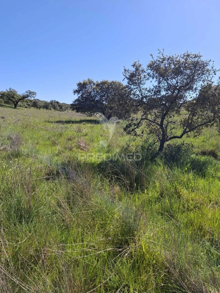 Terreno para Venda em Capelins (Santo Antonio) Foto 2
