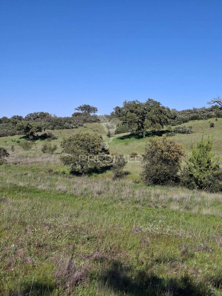 Terreno para Venda em Capelins (Santo Antonio) Foto 9