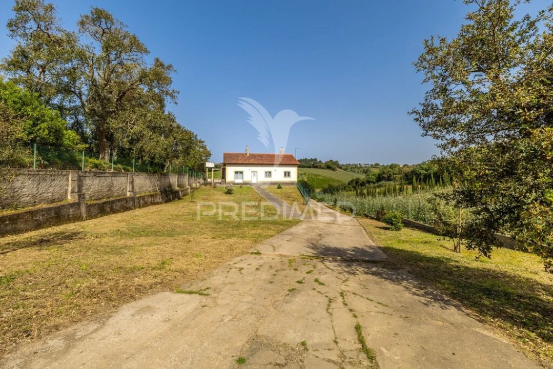 Quinta T3 para Venda em Cela Foto 2