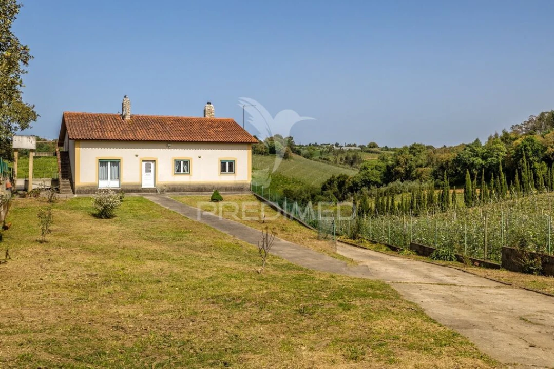 Quinta T3 para Venda em Cela Foto 1