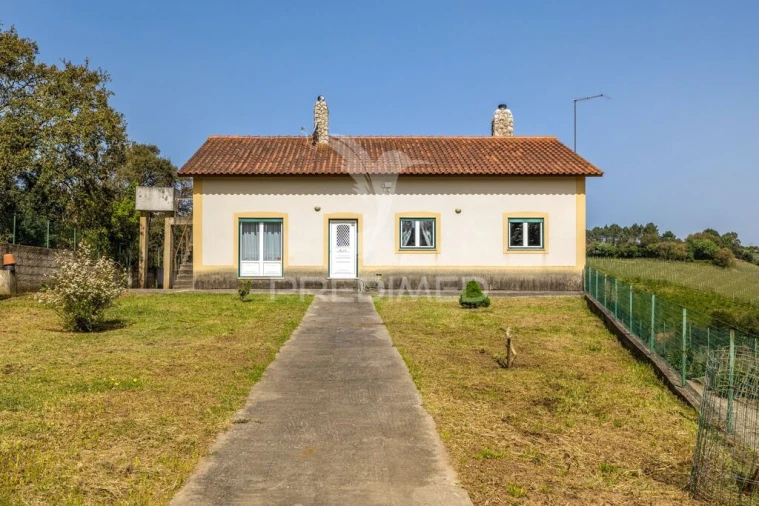 Quinta T3 para Venda em Cela Foto 3