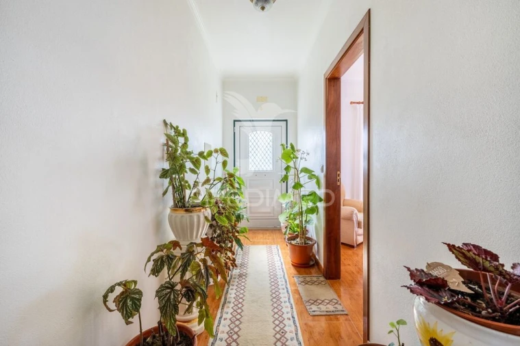 Quinta T3 para Venda em Cela Foto 4