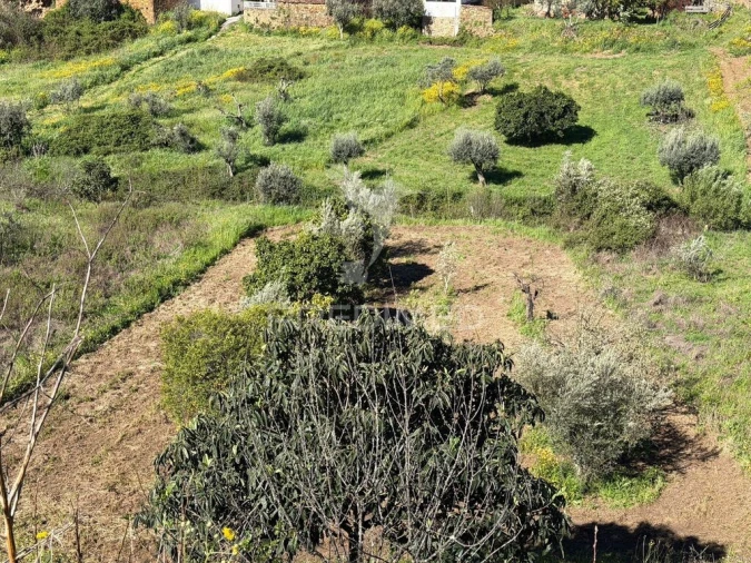 Moradia T6 para Venda em Mação, Penhascoso e Aboboreira Foto 17