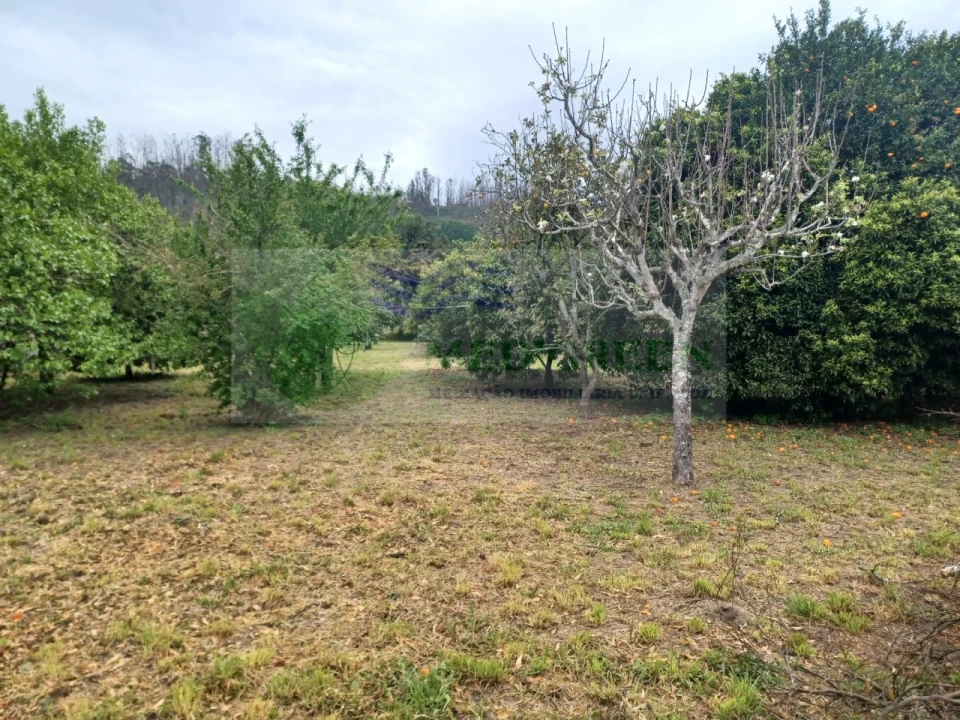 Moradia T4 para Venda em Pessegueiro do Vouga Foto 42