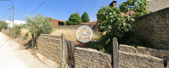 Terreno para Venda em Cantanhede e Pocariça