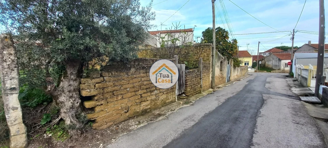 Terreno para Venda em Cantanhede e Pocariça Foto 11