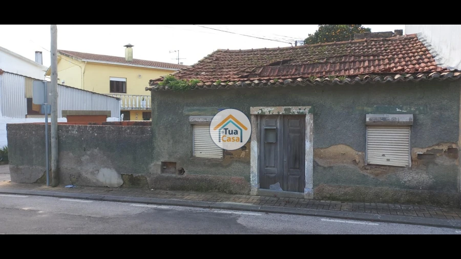 Terreno para Venda em Cantanhede e Pocariça