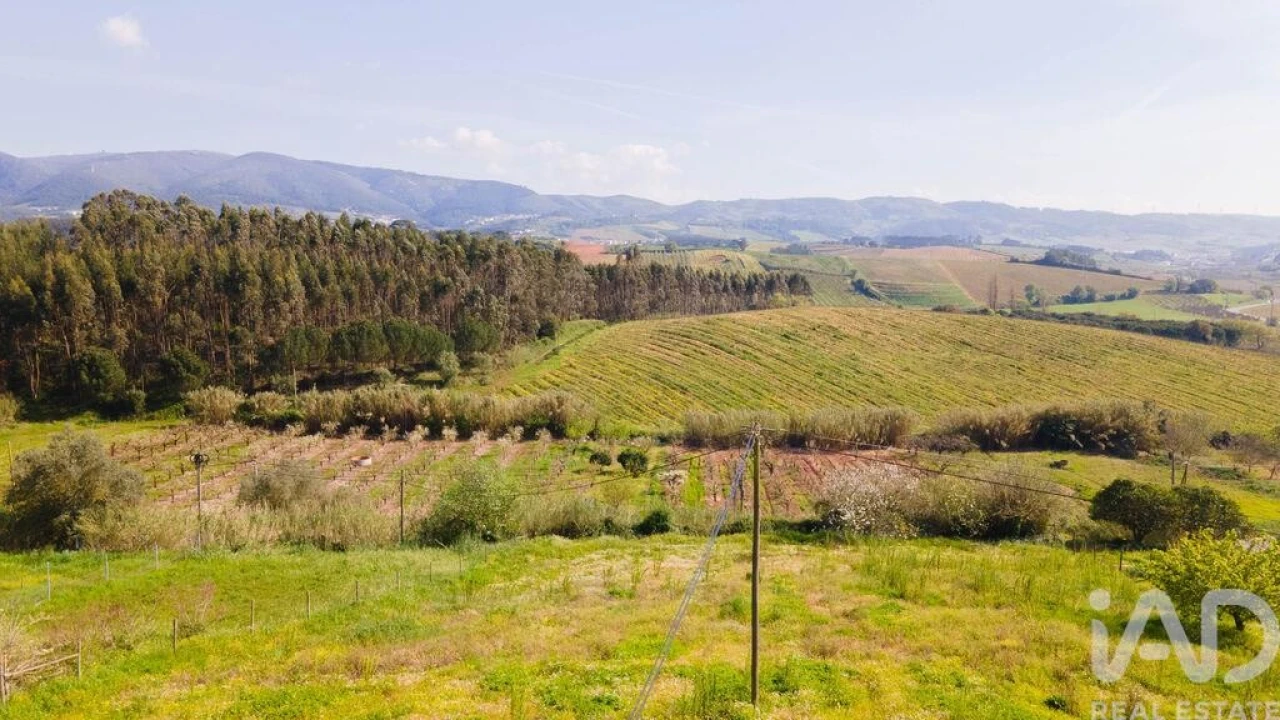 Terreno para Venda em Cadaval e Pêro Moniz Foto 2