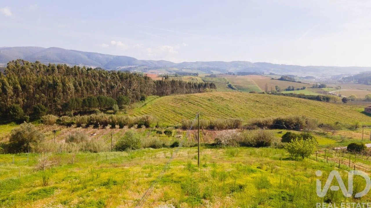Terreno para Venda em Cadaval e Pêro Moniz Foto 27