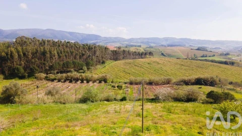 Terreno para Venda em Cadaval e Pêro Moniz