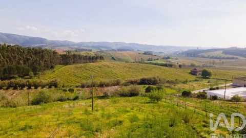 Terreno para Venda em Cadaval e Pêro Moniz