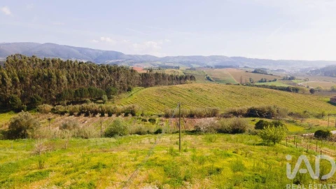 Terreno para Venda em Cadaval e Pêro Moniz