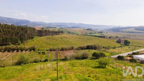 Terreno para Venda em Cadaval e Pêro Moniz