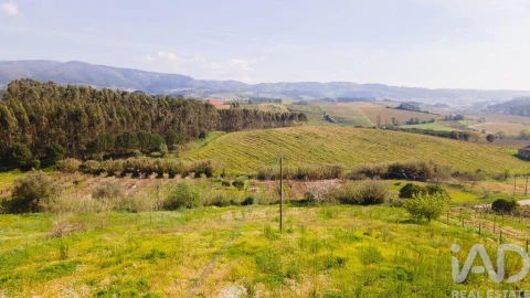 Terreno para Venda em Cadaval e Pêro Moniz