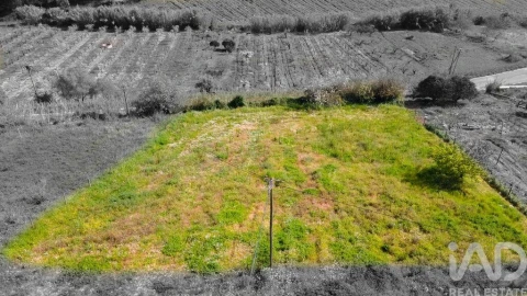 Terreno para Venda em Cadaval e Pêro Moniz