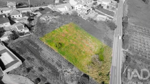 Terreno para Venda em Cadaval e Pêro Moniz