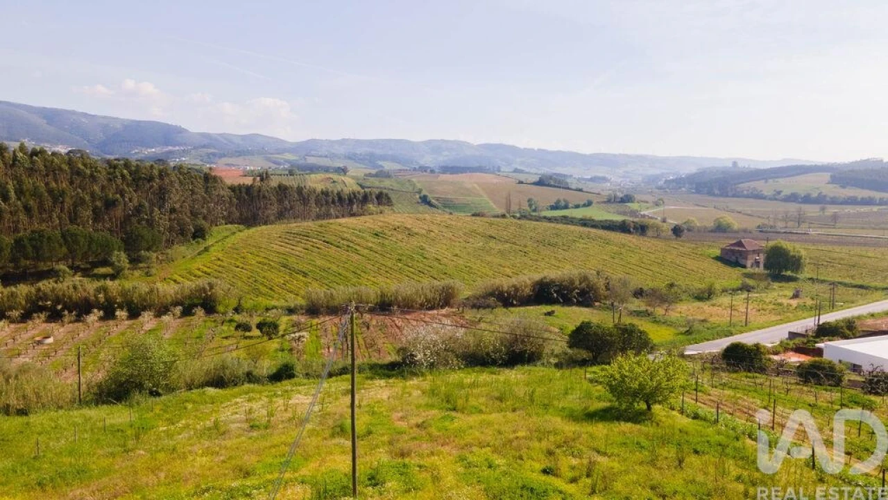 Terreno para Venda em Cadaval e Pêro Moniz Foto 25