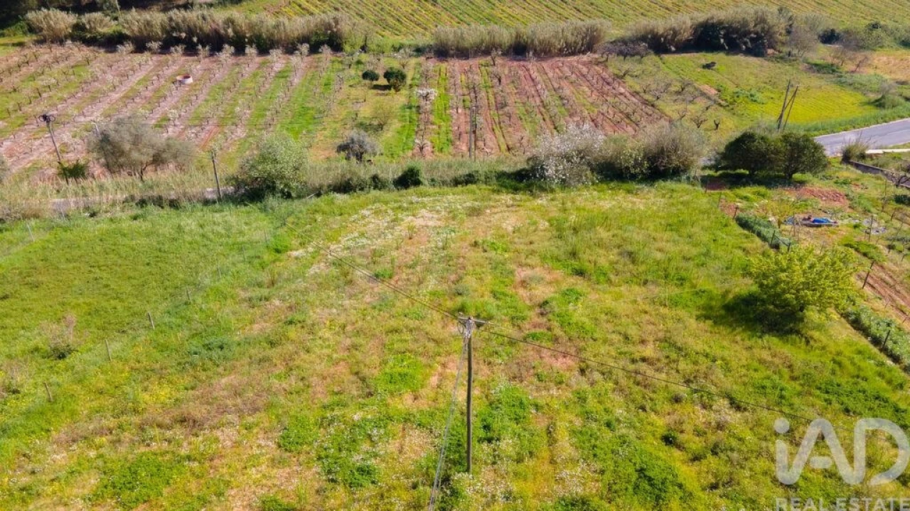 Terreno para Venda em Cadaval e Pêro Moniz Foto 23
