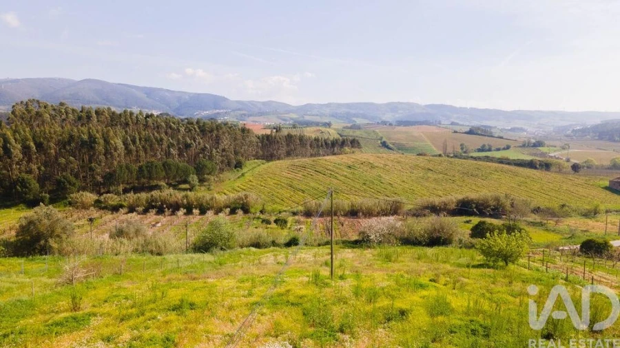 Terreno para Venda em Cadaval e Pêro Moniz Foto 27