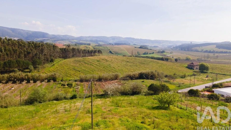 Terreno para Venda em Cadaval e Pêro Moniz Foto 25