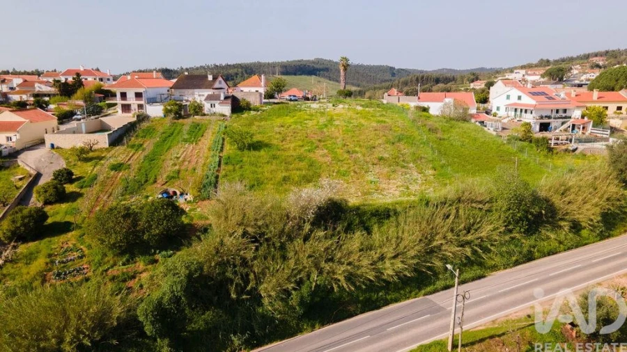 Terreno para Venda em Cadaval e Pêro Moniz Foto 10