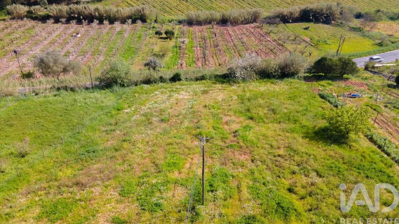 Terreno para Venda em Cadaval e Pêro Moniz Foto 22