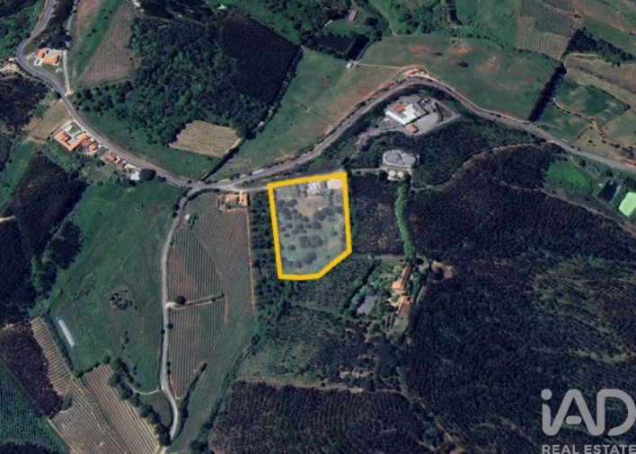 Moradia T6 para Venda em Cadaval e Pêro Moniz Foto 26