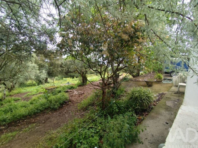 Moradia T6 para Venda em Cadaval e Pêro Moniz Foto 40