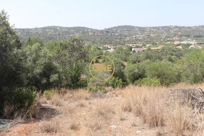 Terreno para Venda em São Brás de Alportel