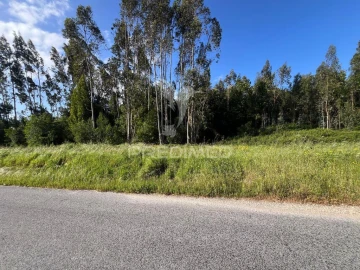 Apartamento para Venda em Mira