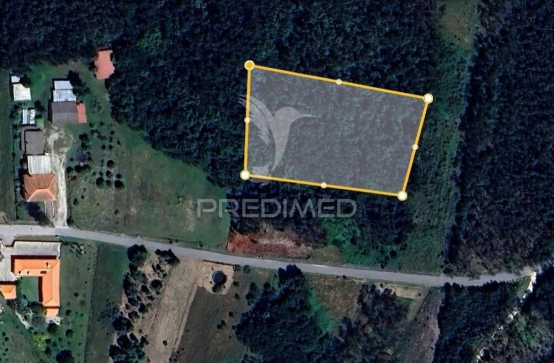 Apartamento para Venda em Mira Foto 14