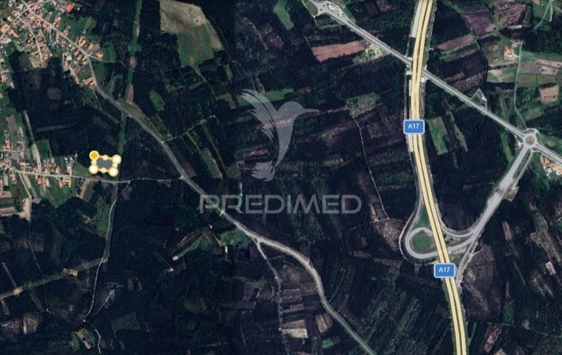 Apartamento para Venda em Mira Foto 20