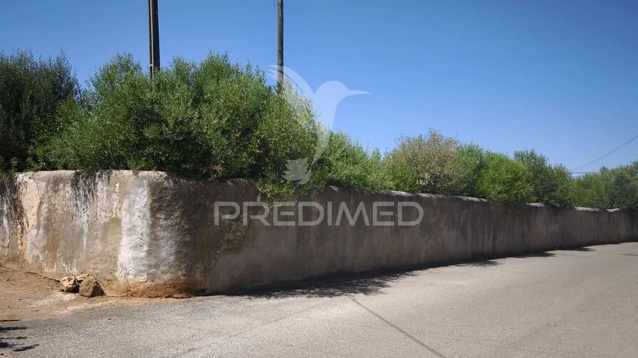 Quinta T4 para Venda em Paderne