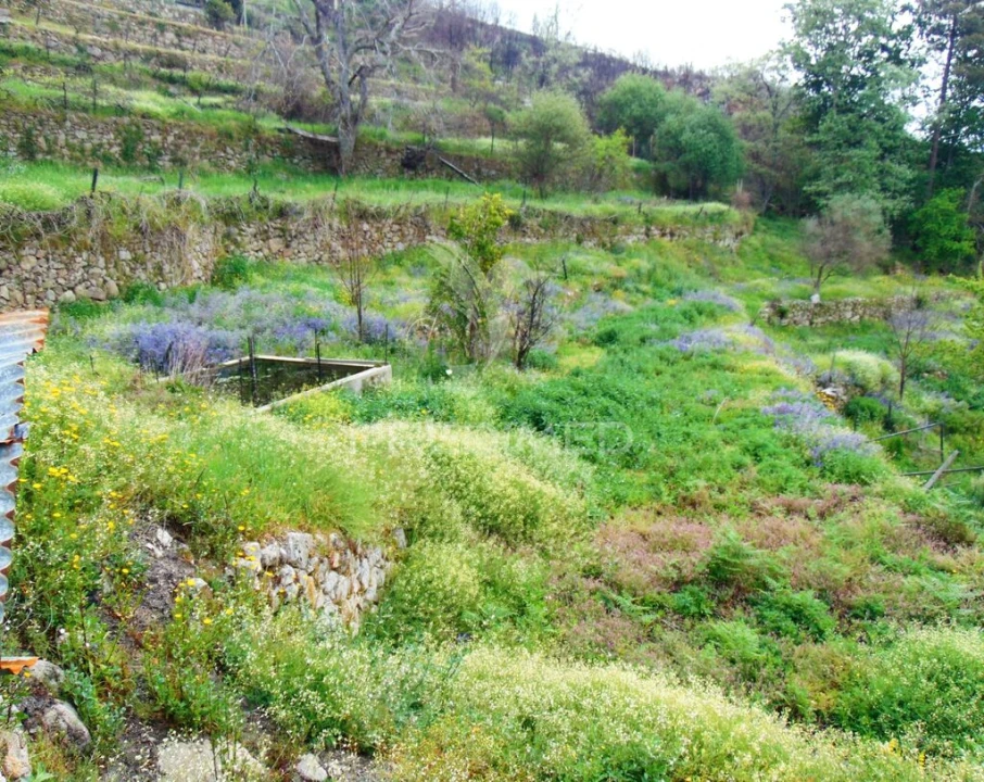 Terreno para Venda em Lordelo Foto 13