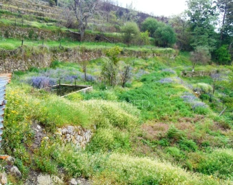 Terreno para Venda em Lordelo