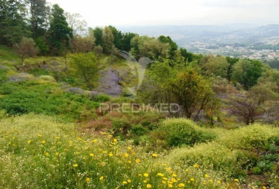 Terreno para Venda em Lordelo