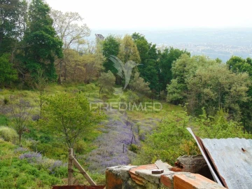 Terreno para Venda em Lordelo