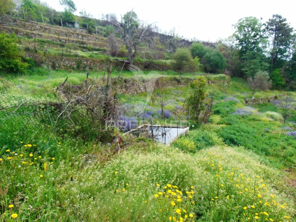 Terreno para Venda em Lordelo Foto 11