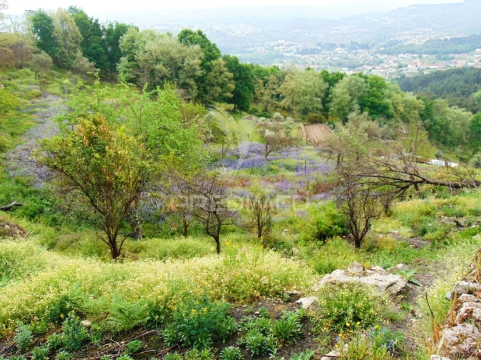Terreno para Venda em Lordelo Foto 14