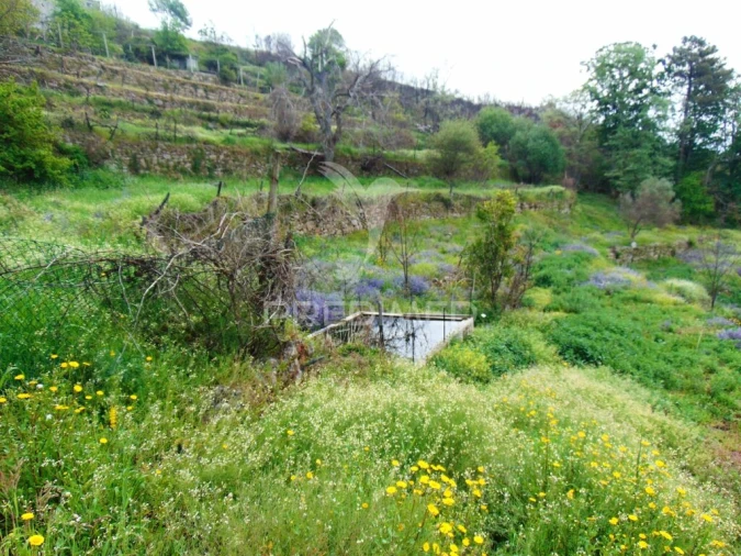 Terreno para Venda em Lordelo Foto 11