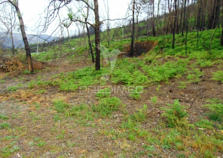 Terreno para Venda em Lordelo Foto 7