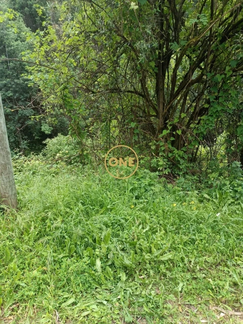 Terreno para Venda em Santo Antonio dos Olivais