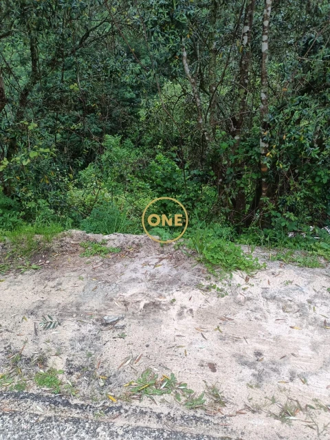 Terreno para Venda em Santo Antonio dos Olivais